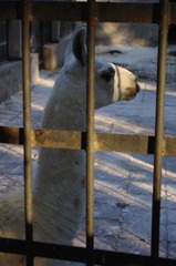 2012.10.17 162032.jpg