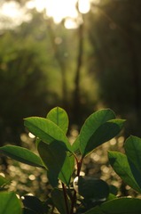 2012.10.17 163259.jpg