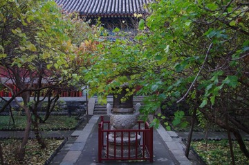 2012.11.06 070809.jpg