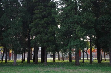 2012.11.06 091146.jpg