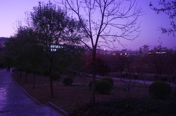 2012.11.12 172322.jpg