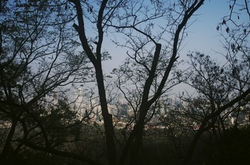 2012.11.24 102739.jpg