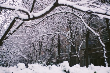 2012.12.21 102754.jpg