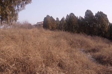2013.01.12 154606.jpg