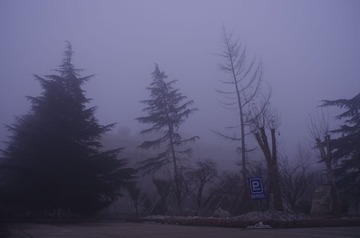 2013.01.29 162909.jpg
