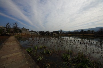IMGP6862.jpg