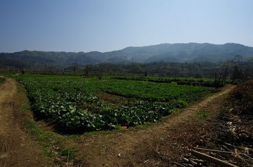 IMGP7006.jpg