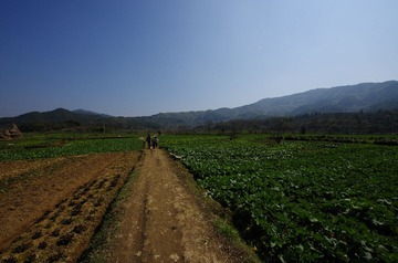 IMGP7009.jpg