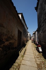 IMGP7017.jpg