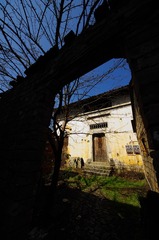 IMGP7029.jpg