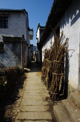 IMGP7031.jpg