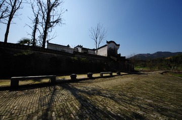 IMGP7046.jpg