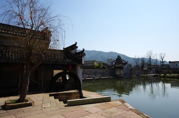 IMGP7070.jpg