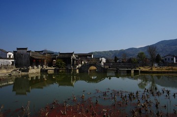 IMGP7079.jpg