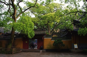 IMGP7445.JPG