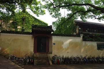 IMGP7506.JPG
