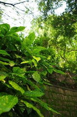 IMGP7481.JPG