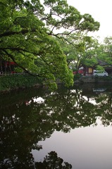 IMGP7623.JPG