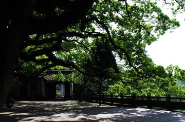 IMGP7682.jpg