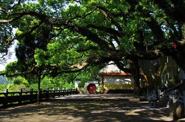 IMGP7688.jpg
