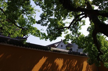 IMGP7695.JPG