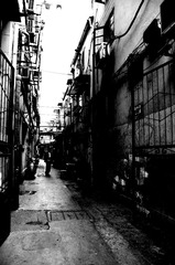 IMGP7184.jpg