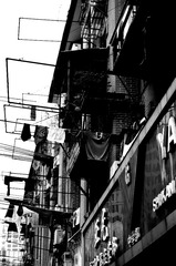 IMGP7308.JPG