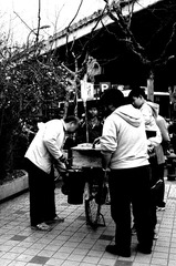 IMGP7330.JPG