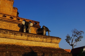 IMGP5577.jpg
