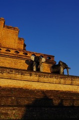IMGP5579.jpg