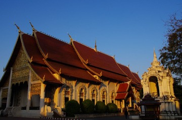 IMGP5603.jpg