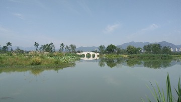 1294367