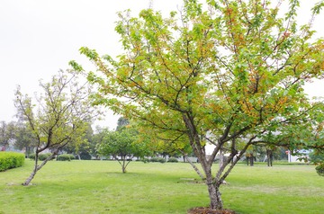 IMGP0089.JPG