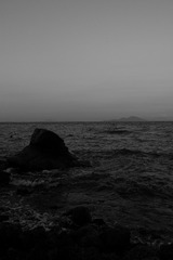 835EE361-ED23-446C-91D3-91C40033D8F7/L0/001