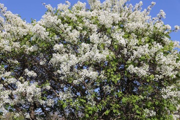 IMG_1111.JPG
