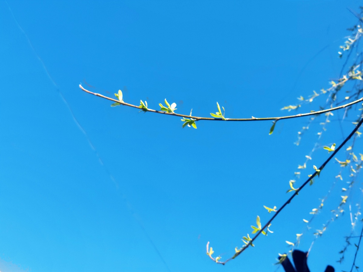 大风后的北京晴空万里阳光明媚日月同辉