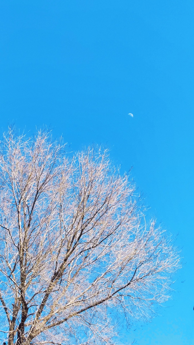 大风后的北京晴空万里阳光明媚日月同辉