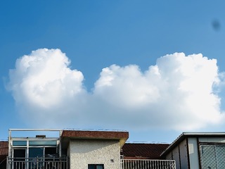 9CA118AC-9C19-4F7E-8A3F-6446F4964574/L0/001
