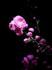 E50D47F1-279F-42BA-ABC3-F1CC9B3EAEB7/L0/001