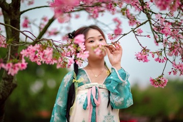 樱花树下9