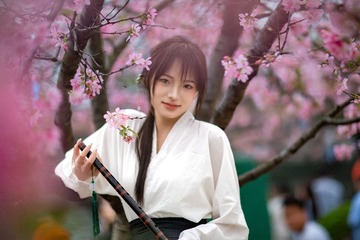 樱花树下