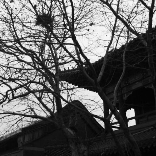 湛山寺<br />
