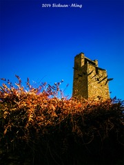 12806317154_a65d29a595_o