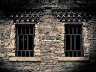 12900287293_d28ca08139_o