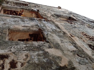 P1000574.JPG