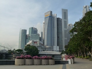 P1000358.JPG