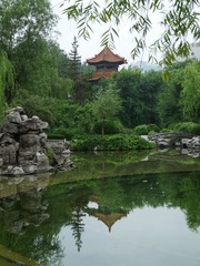 P1010234.JPG