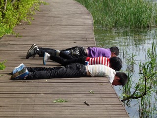 P1050090.JPG