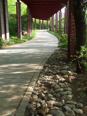 P1050129.JPG