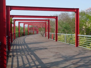 P1050136.JPG